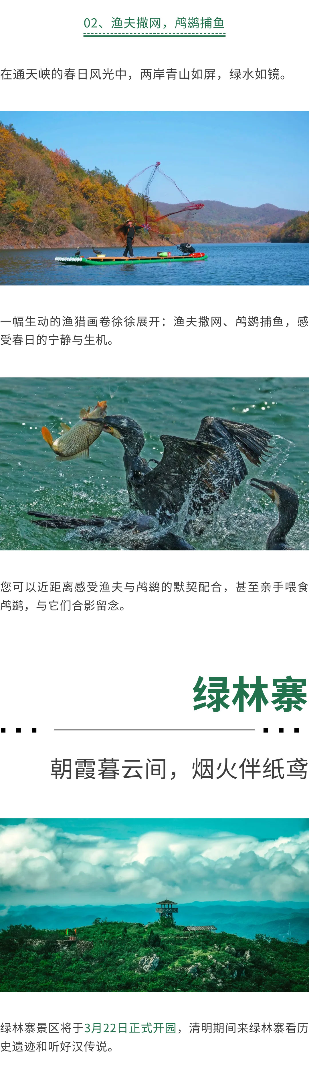 春季到綠林，踏青趣享自然！(圖5)